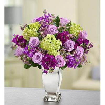 Boonton Florist | Lavender Collection