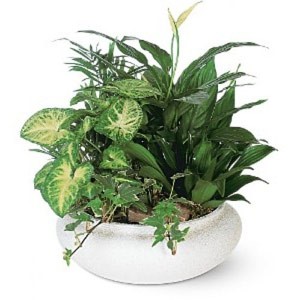 Boonton Florist | Spring Garden